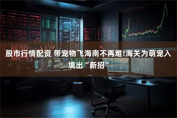 股市行情配资 带宠物飞海南不再难!海关为萌宠入境出“新招”